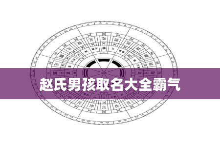 赵氏男孩取名大全霸气