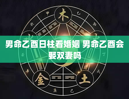 男命乙酉日柱看婚姻 男命乙酉会娶双妻吗