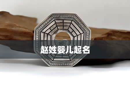 赵姓婴儿起名