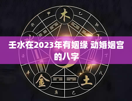 壬水在2023年有姻缘 动婚姻宫的八字