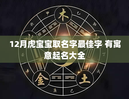 12月虎宝宝取名字最佳字 有寓意起名大全