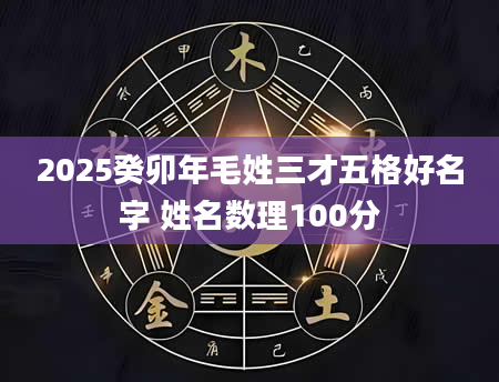 2025癸卯年毛姓三才五格好名字 姓名数理100分