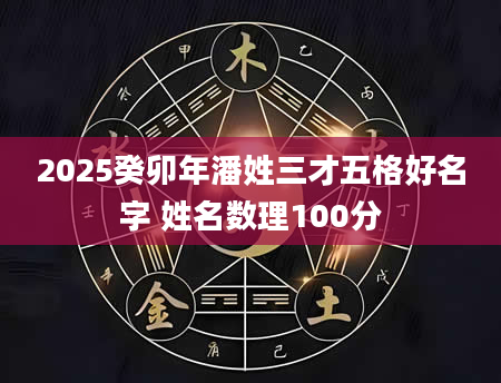 2025癸卯年潘姓三才五格好名字 姓名数理100分