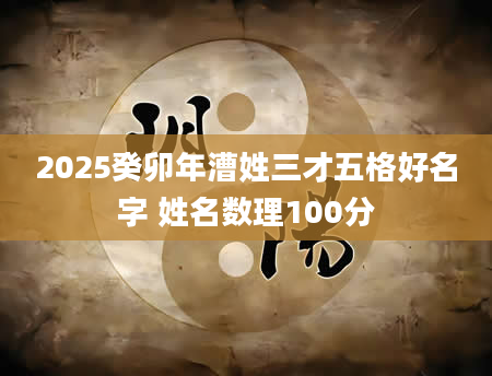 2025癸卯年漕姓三才五格好名字 姓名数理100分