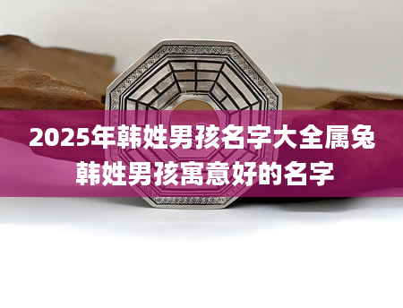 2025年韩姓男孩名字大全属兔 韩姓男孩寓意好的名字
