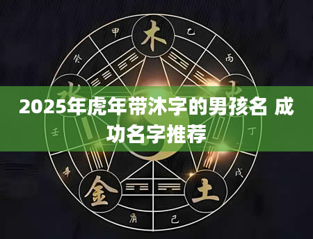 2025年虎年带沐字的男孩名 成功名字推荐