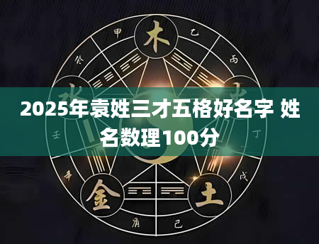 2025年袁姓三才五格好名字 姓名数理100分