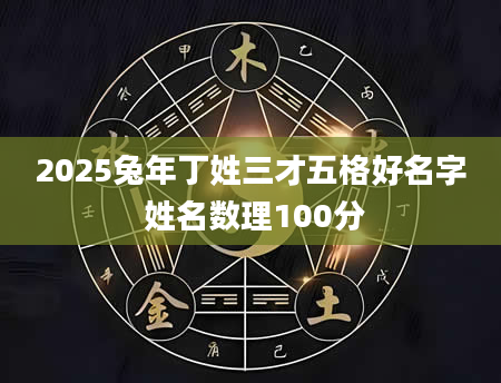 2025兔年丁姓三才五格好名字 姓名数理100分