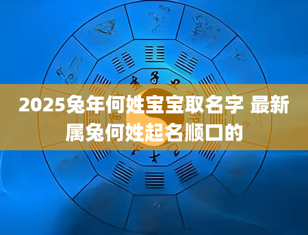 2025兔年何姓宝宝取名字 最新属兔何姓起名顺口的