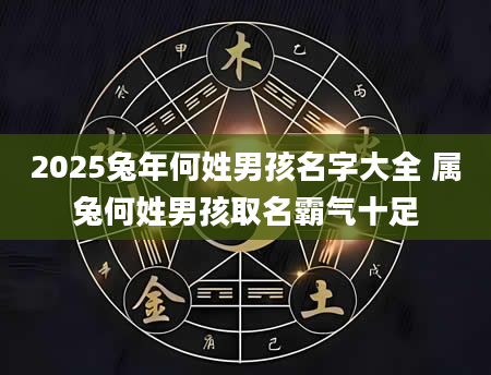 2025兔年何姓男孩名字大全 属兔何姓男孩取名霸气十足