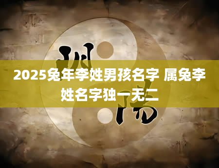 2025兔年李姓男孩名字 属兔李姓名字独一无二