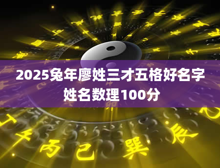 2025兔年廖姓三才五格好名字 姓名数理100分