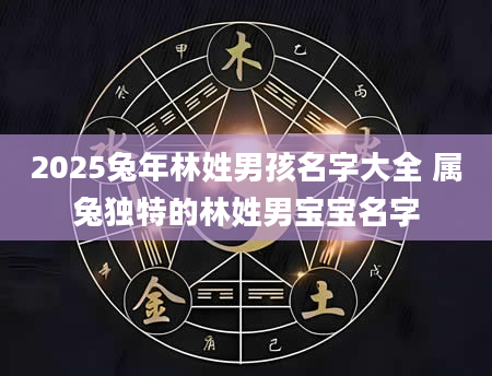 2025兔年林姓男孩名字大全 属兔独特的林姓男宝宝名字