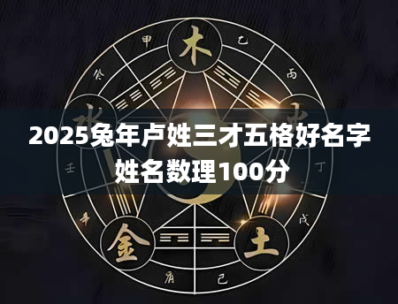 2025兔年卢姓三才五格好名字 姓名数理100分