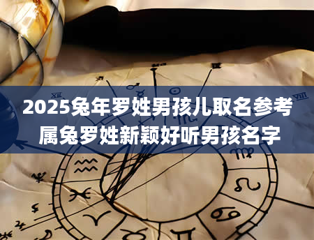 2025兔年罗姓男孩儿取名参考 属兔罗姓新颖好听男孩名字