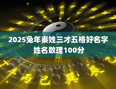 2025兔年秦姓三才五格好名字 姓名数理100分