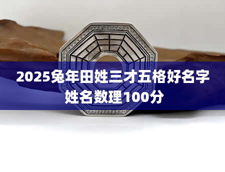 2025兔年田姓三才五格好名字 姓名数理100分