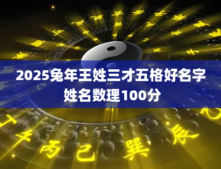 2025兔年王姓三才五格好名字 姓名数理100分