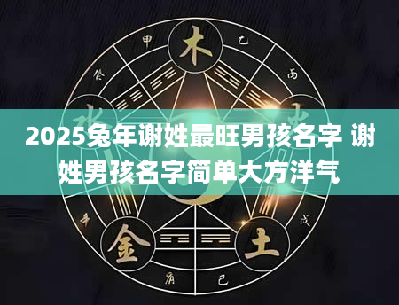 2025兔年谢姓最旺男孩名字 谢姓男孩名字简单大方洋气
