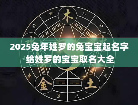 2025兔年姓罗的兔宝宝起名字 给姓罗的宝宝取名大全