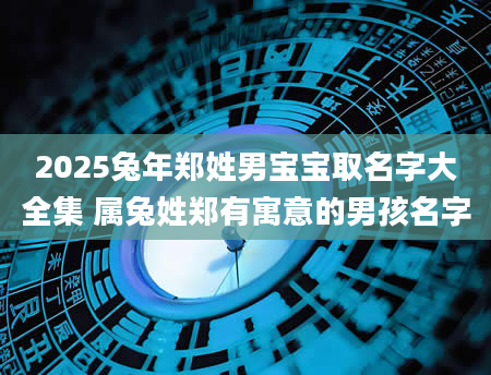 2025兔年郑姓男宝宝取名字大全集 属兔姓郑有寓意的男孩名字