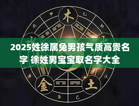 2025姓徐属兔男孩气质高贵名字 徐姓男宝宝取名字大全