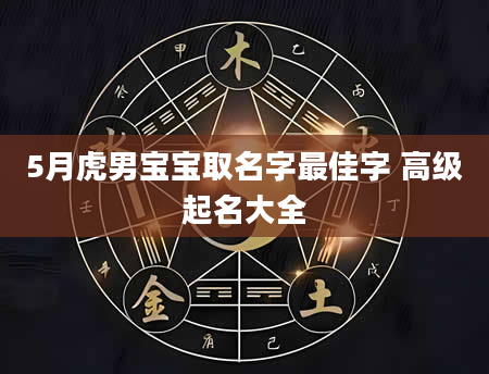 5月虎男宝宝取名字最佳字 高级起名大全