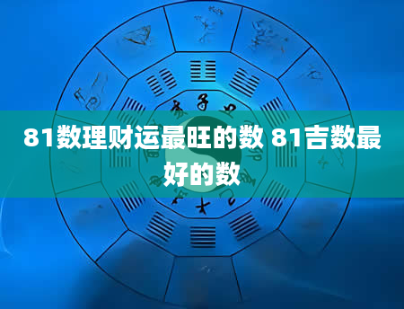 81数理财运最旺的数 81吉数最好的数