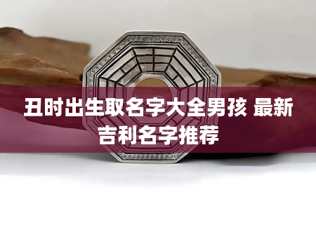 丑时出生取名字大全男孩 最新吉利名字推荐