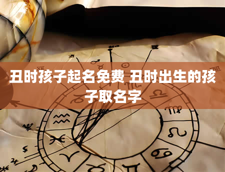 丑时孩子起名免费 丑时出生的孩子取名字