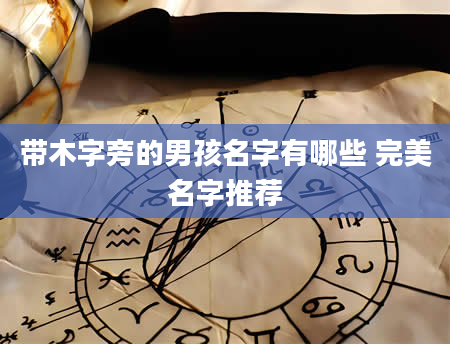 带木字旁的男孩名字有哪些 完美名字推荐