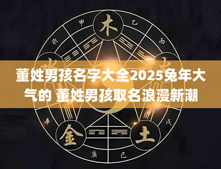 董姓男孩名字大全2025兔年大气的 董姓男孩取名浪漫新潮