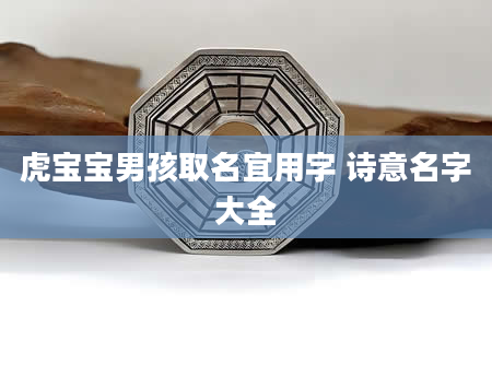 虎宝宝男孩取名宜用字 诗意名字大全