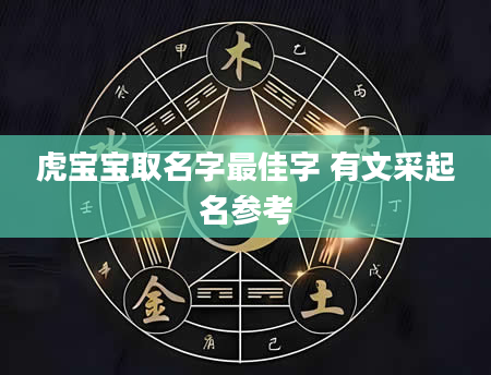 虎宝宝取名字最佳字 有文采起名参考
