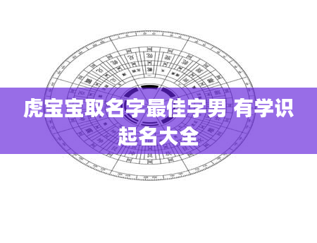 虎宝宝取名字最佳字男 有学识起名大全