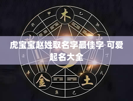 虎宝宝赵姓取名字最佳字 可爱起名大全