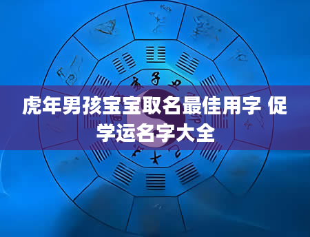 虎年男孩宝宝取名最佳用字 促学运名字大全