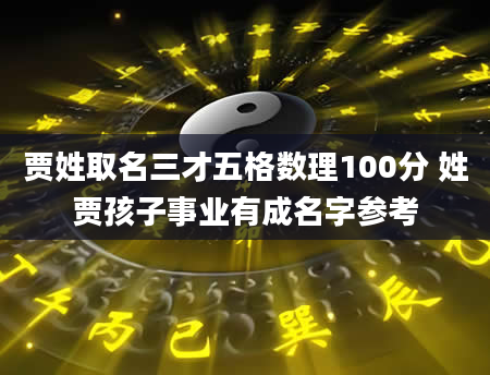 贾姓取名三才五格数理100分 姓贾孩子事业有成名字参考