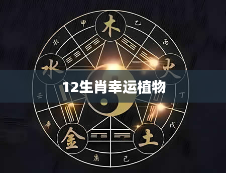 12生肖幸运植物