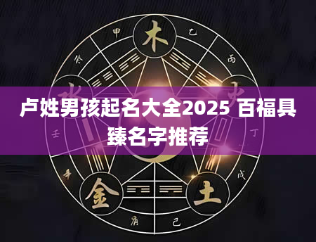 卢姓男孩起名大全2025 百福具臻名字推荐