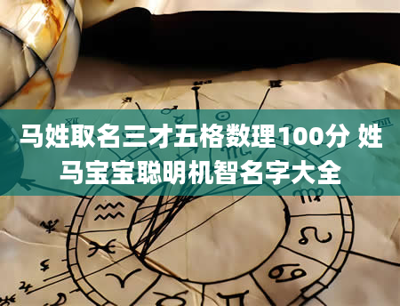 马姓取名三才五格数理100分 姓马宝宝聪明机智名字大全