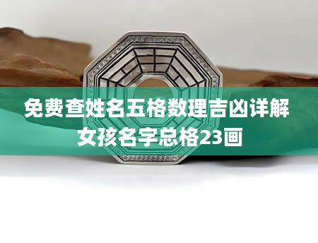 免费查姓名五格数理吉凶详解 女孩名字总格23画