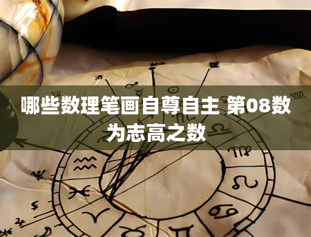 哪些数理笔画自尊自主 第08数为志高之数