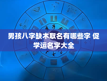 男孩八字缺木取名有哪些字 促学运名字大全
