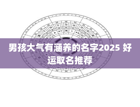男孩大气有涵养的名字2025 好运取名推荐