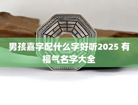 男孩嘉字配什么字好听2025 有福气名字大全