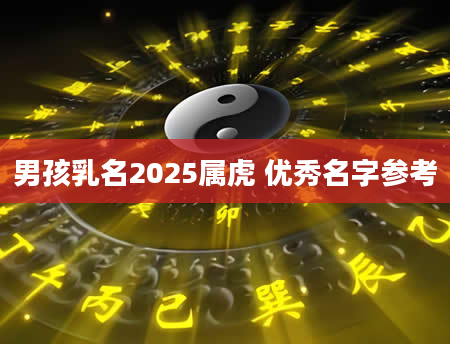 男孩乳名2025属虎 优秀名字参考