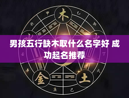 男孩五行缺木取什么名字好 成功起名推荐
