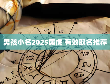 男孩小名2025属虎 有效取名推荐