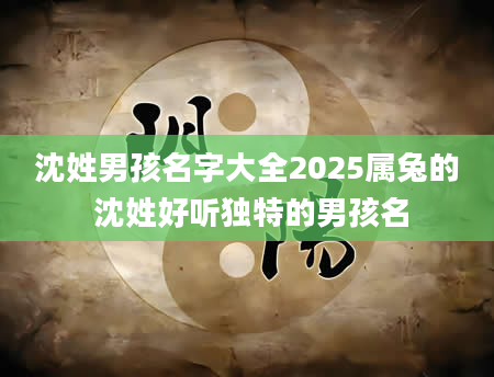 沈姓男孩名字大全2025属兔的 沈姓好听独特的男孩名